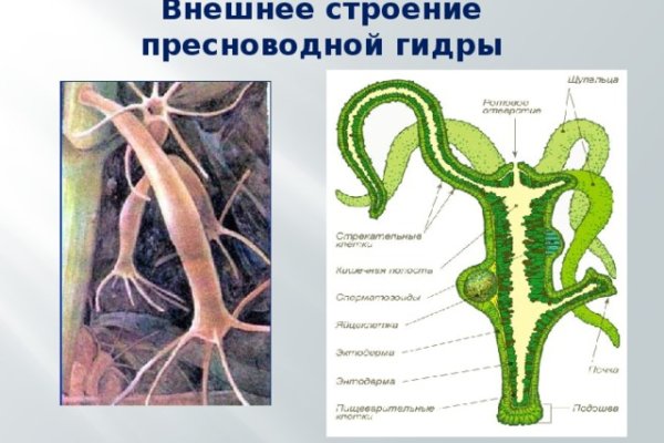 Что такое кракен маркет торкнет