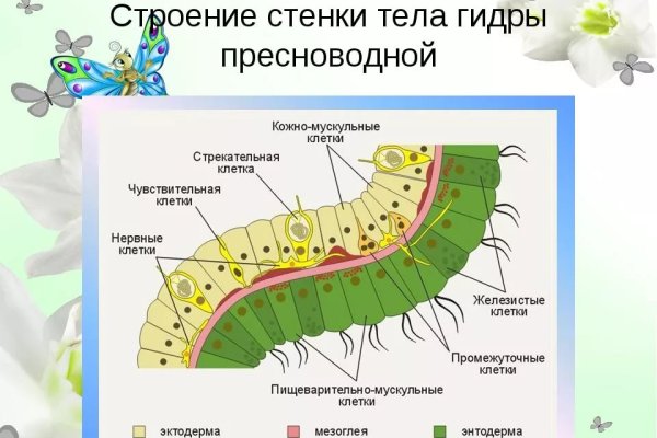 Hydra ссылка