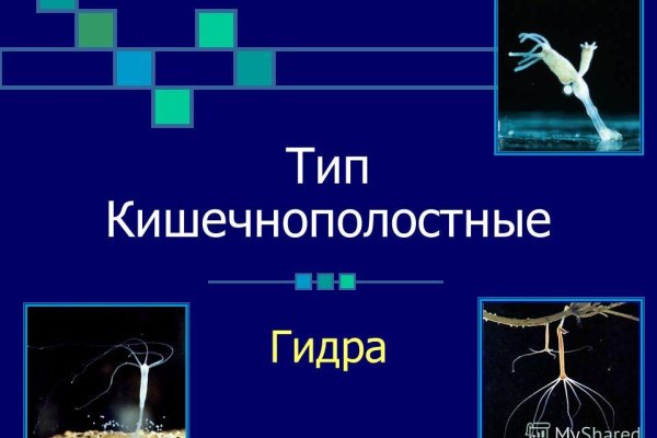 Kraken ссылка зеркало официальный сайт