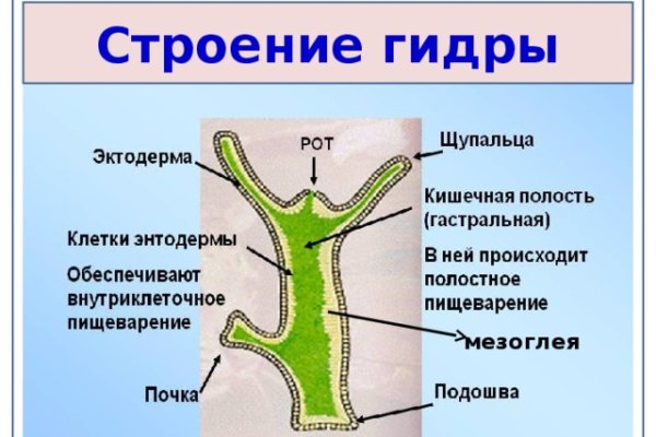 Кракен даркнет только через тор